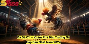 Da Ga C1 – Kham Pha Dau Truong Ga Hap Dan Nhat Nam 2024 fotor 20241209181614
