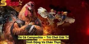 Da Ga Campuchia – Tro Choi Giai Tri Sinh Dong Va Chan Thuc fotor 20241209181559