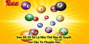 Dan De 20 So La Nhu The Nao Bi Quyet Soi Cau Tu Chuyen Gia fotor 20241209181651