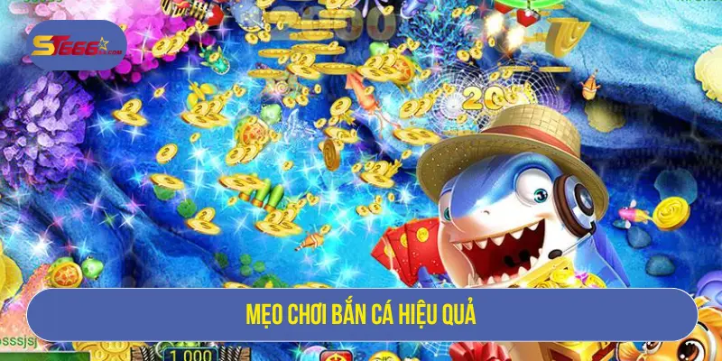 Bắn Cá Kingfun – Săn Boss Khủng, Nhận Thưởng Lớn 3 Mẹo chơi bắn cá hiệu quả